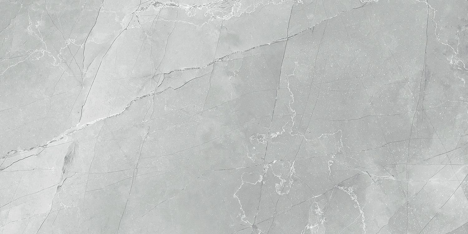 Керамогранит LCM Armani Marble Gray 120x60 фото2